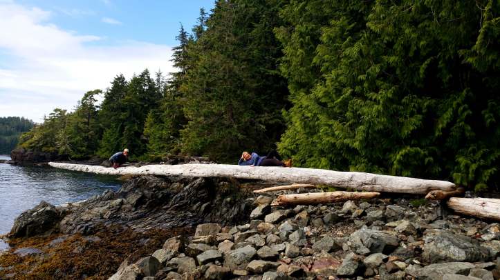 36310050_10215096887831071_1499966419880640512_n