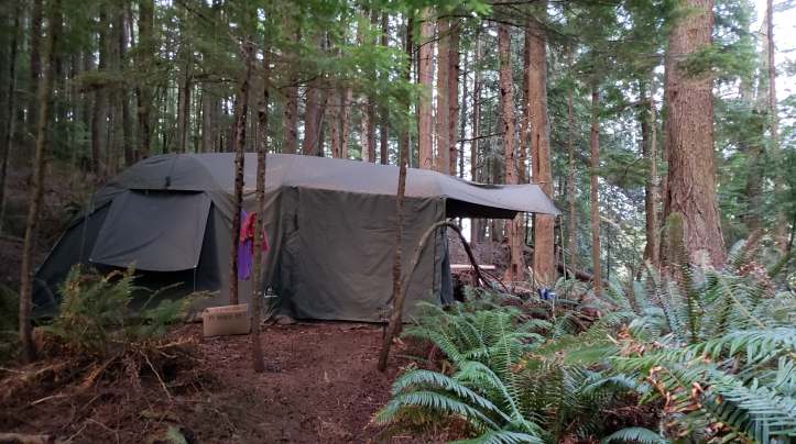 42867024_157567431847030_6691807051464572928_n