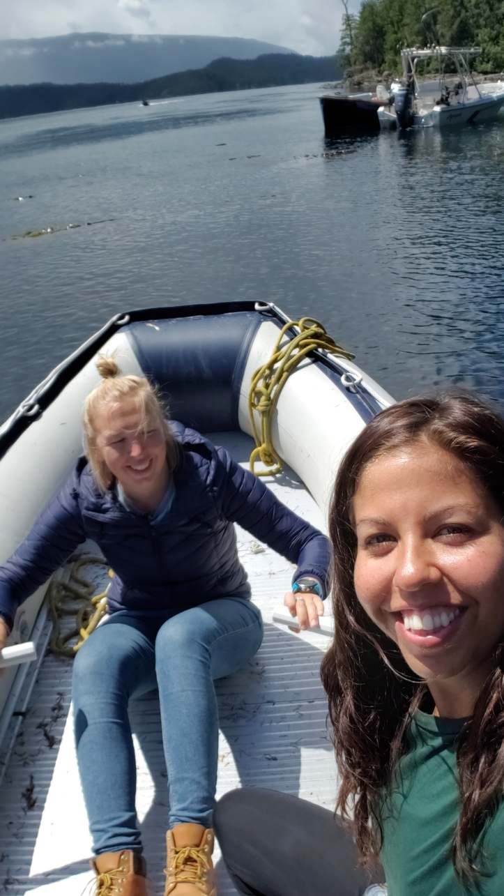 42871434_245976326113758_1595705922422833152_n