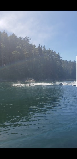 42892612_313684172792667_3690207042837938176_n