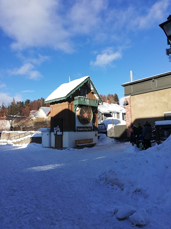 50313604_254589332107351_1541690936239587328_n